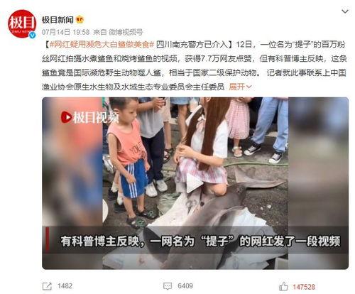 打假网红吃瓜事件视频大全,视频大全背后的真相与争议  第2张